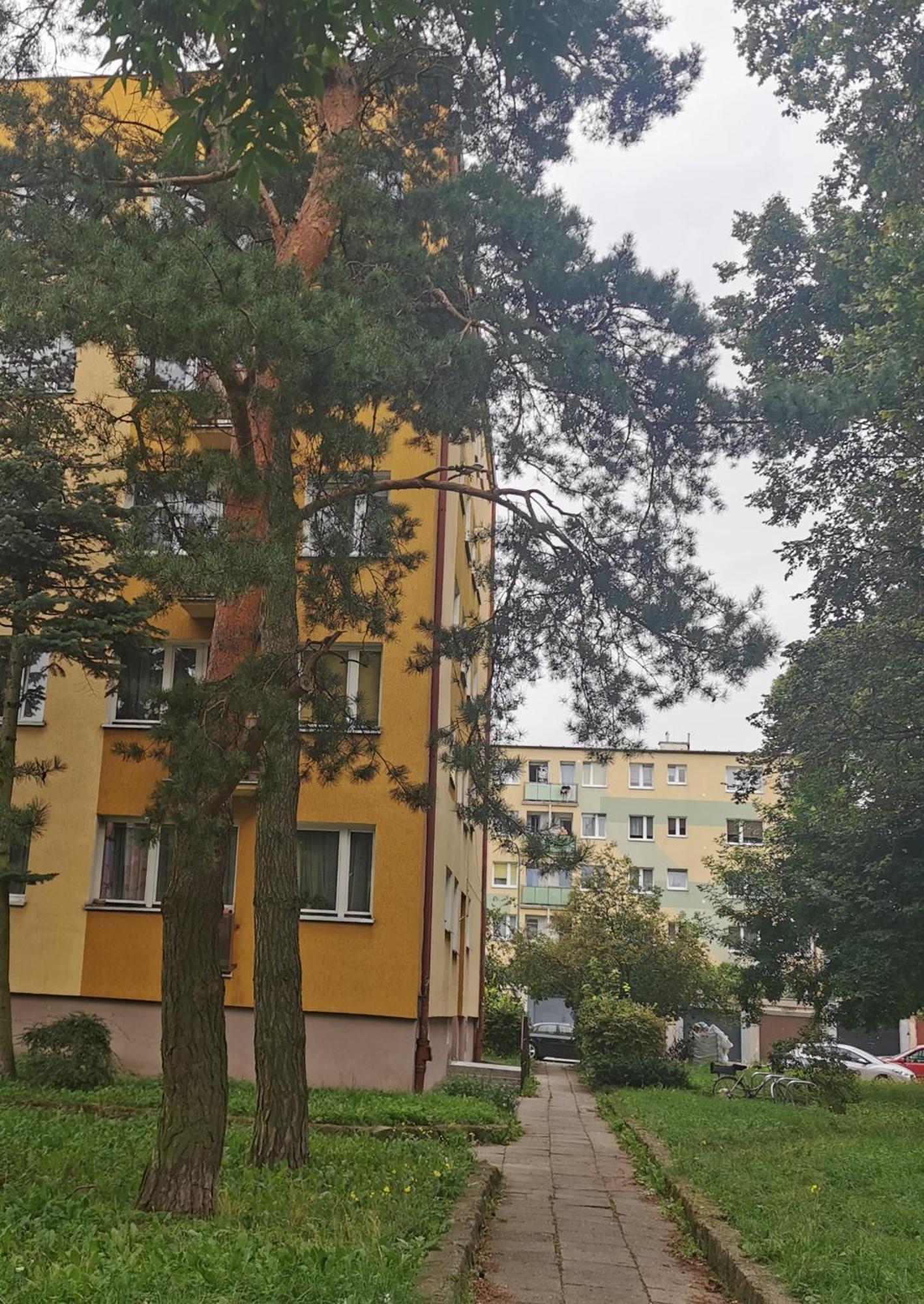 Mieszkanie Brzezno Przy Plazy Danzig Exterior foto